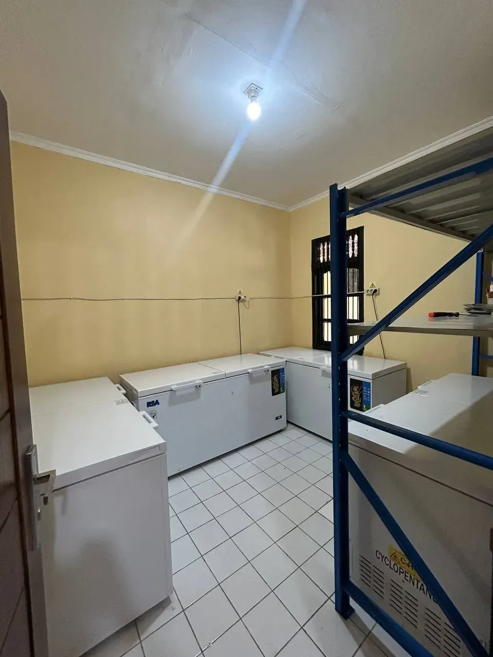 Urgent sale — priced below asset value turnkey frozen food factory in Bali